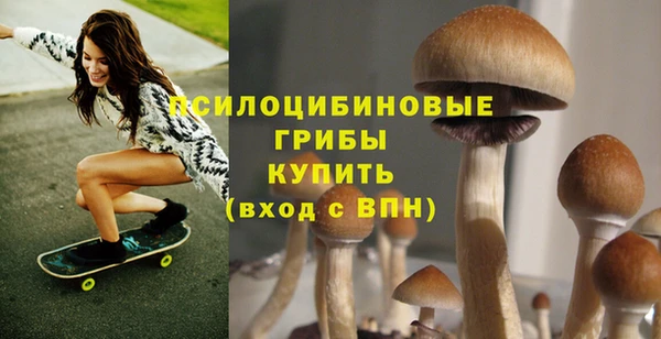 скорость Белокуриха