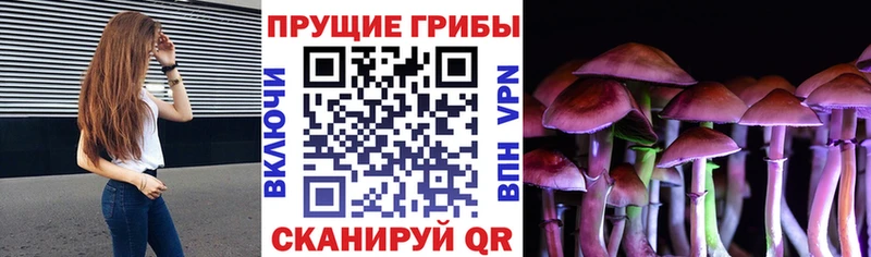 Псилоцибиновые грибы GOLDEN TEACHER  сколько стоит  Михайлов 