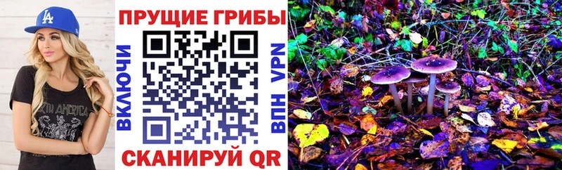 Псилоцибиновые грибы мухоморы Михайлов